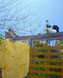 002 - Cat on Yellow Wall II