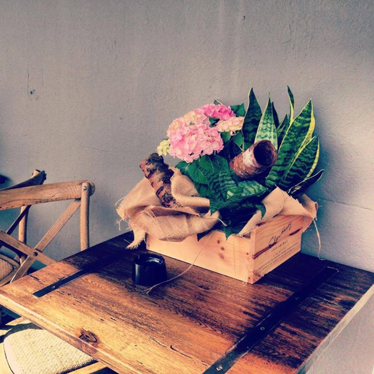 Culture Bean Cafe MEDIA