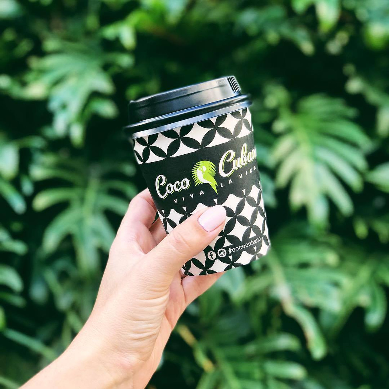 Coco Cubano Macarthur MEDIA