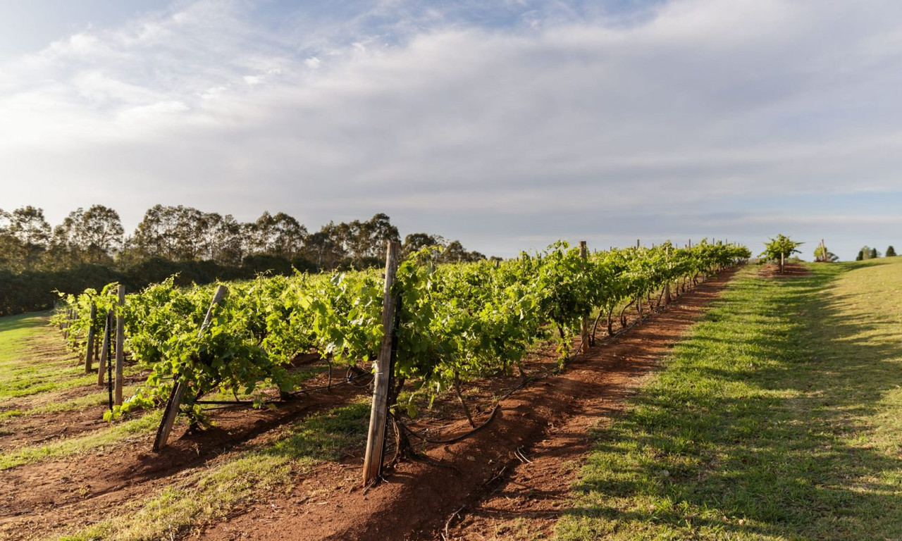 Loggerheads Homestead