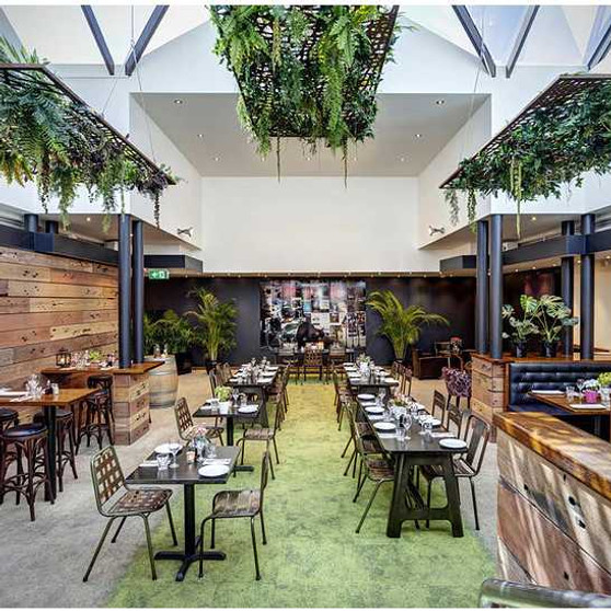 The Cat Fiddle Hotel Balmain MEDIA