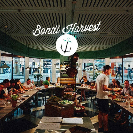 Bondi Harvest at The Eastern Hotel MEDIA