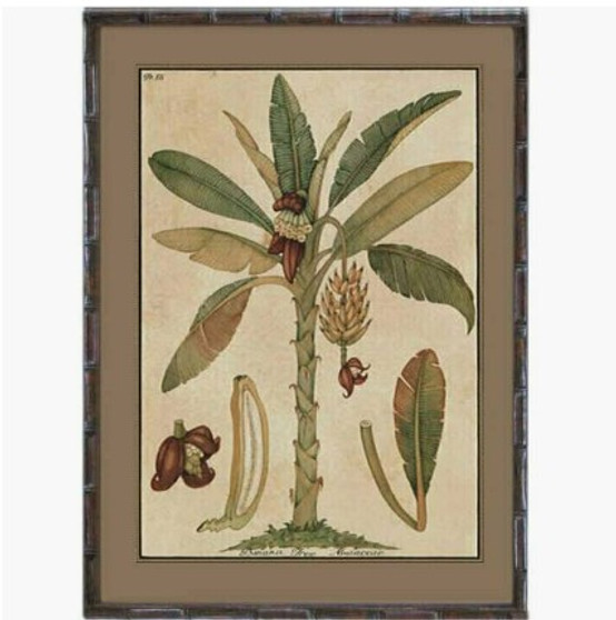 Frontal view of the Banana Palm Artwork, showcasing the lush greenery against the natural bamboo frame, embodying tropical decor.