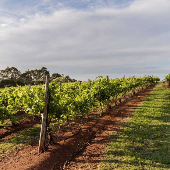 Loggerheads Homestead MEDIA