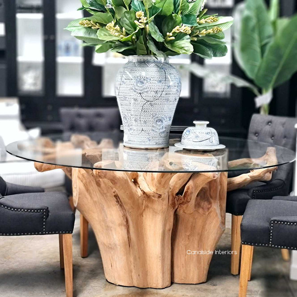 Full display of the Root Trunk Table, with its glass top highlighting the intricate root base - a statement in a coastal living room.