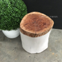 Organic Log Trunk Stools Side Tables distressed white  INDUSTRIAL RUSTIC Style, Accessories, CHAIRS, CAFE FURNITURE, TABLES, HAMPTONS Style, PLANTATION Style, CHAIRS Stools, TABLES Side Tables, LIVING Room, LIVING Coffee & Side Tables, CAFE FURNITURE Table Tops & Tables, CAFE FURNITURE Stools & Chairs, PLANTATION STYLE