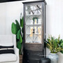Angled view showcasing the contrast between the cabinet's dark exterior and bright white interior, emphasizing the piece's unique design.