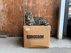 Employee of the Month - December 2025