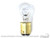 1965-1968 Backup Light Bulb 1965-1968 Backup Light Bulb