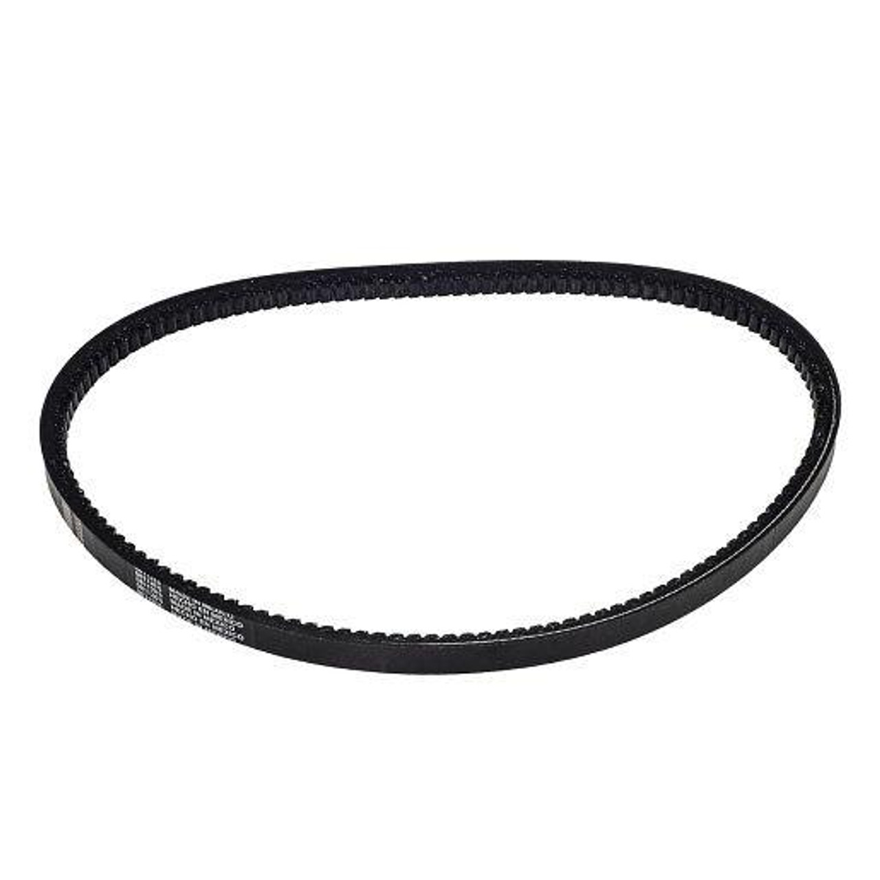 GOOD GRIEF!/グッドグリーフ】 Border Belt(5cm) GOOD GRIEF
