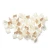 NS-37714S.S Wire Clips (50pcs) 2