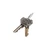 Liftmaster 041ASWG-0119  Release Key