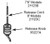Genie 21123C Release cord (8' models)