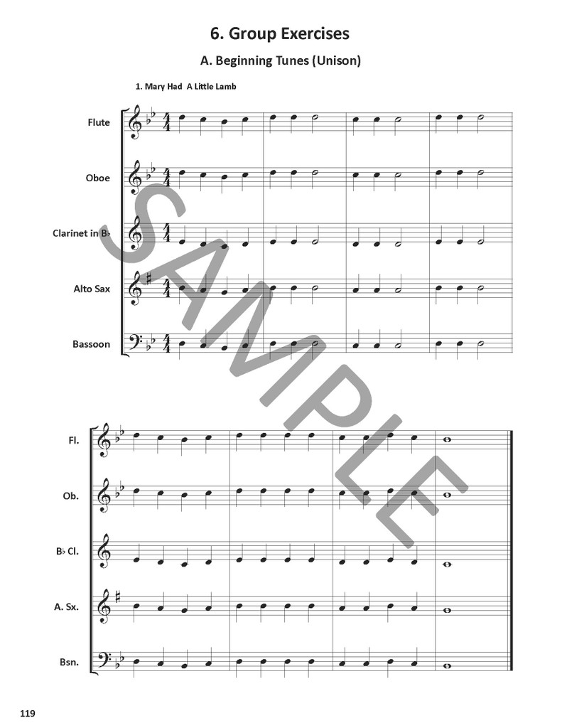 Teaching Woodwinds: A Guide for Students and Teachers - PDF Download Version