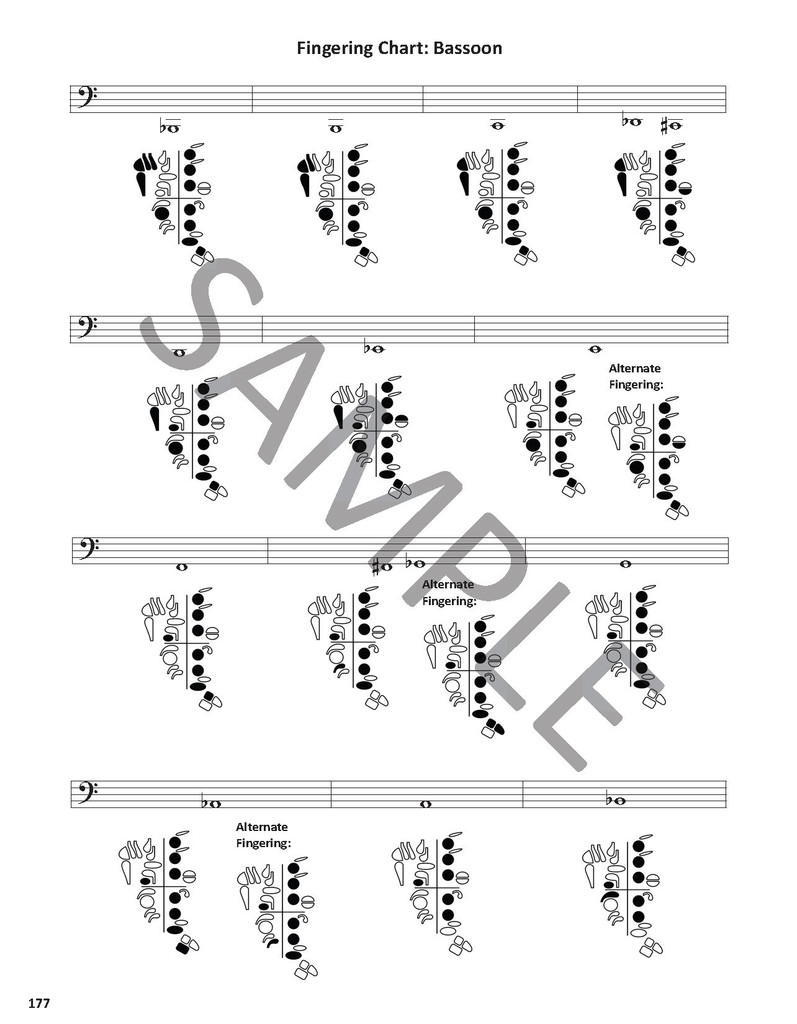 Teaching Woodwinds: A Guide for Students and Teachers - PDF Download Version