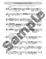 Foundations of Trumpet Transposition: Studies for Learning to Transpose to C, B-flat, E-flat, Bass Clef, and F