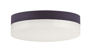 Illuminaire II Flush Mount Bronze - 57682CLFTBZ