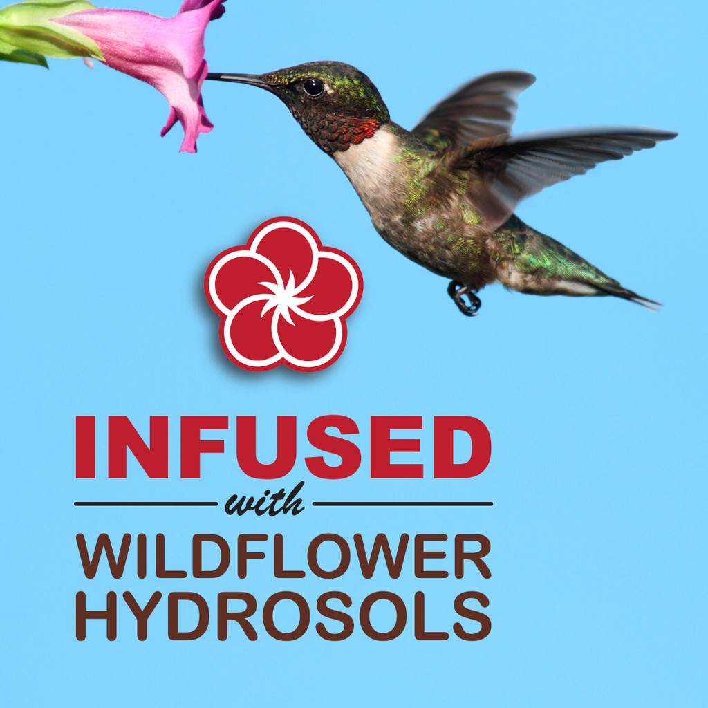 Sweet-Nectar™ Ready-to-Use Hummingbird Nectar, 250 ml. (8.4 oz.) - 12 pack