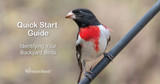 Quick Start Guide to Identifying Your Backyard Birds