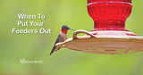 How Early Should Hummingbird Feeders Be Put Out in Spring?