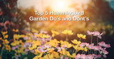 Top 5 Hummingbird Garden Do's & Don'ts