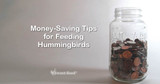Money-Saving Tips for Feeding Hummingbirds