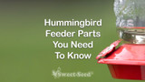 Hummingbird Feeder Parts You Need to Know