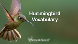 Hummingbird Vocabulary
