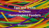 Tips and Tricks to Clean Hummingbird Feeders