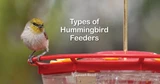 Types of Hummingbird Feeders