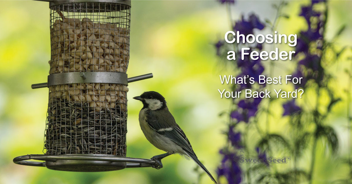 How to Choose the Best Bird Feeder SweetSeed Micro Batch Bird Feed