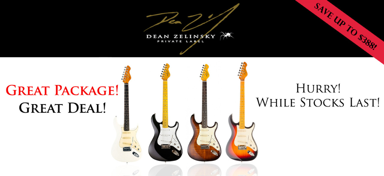 SV Guitars Guitar Shop Singapore! Online Guitar Shop, Electric