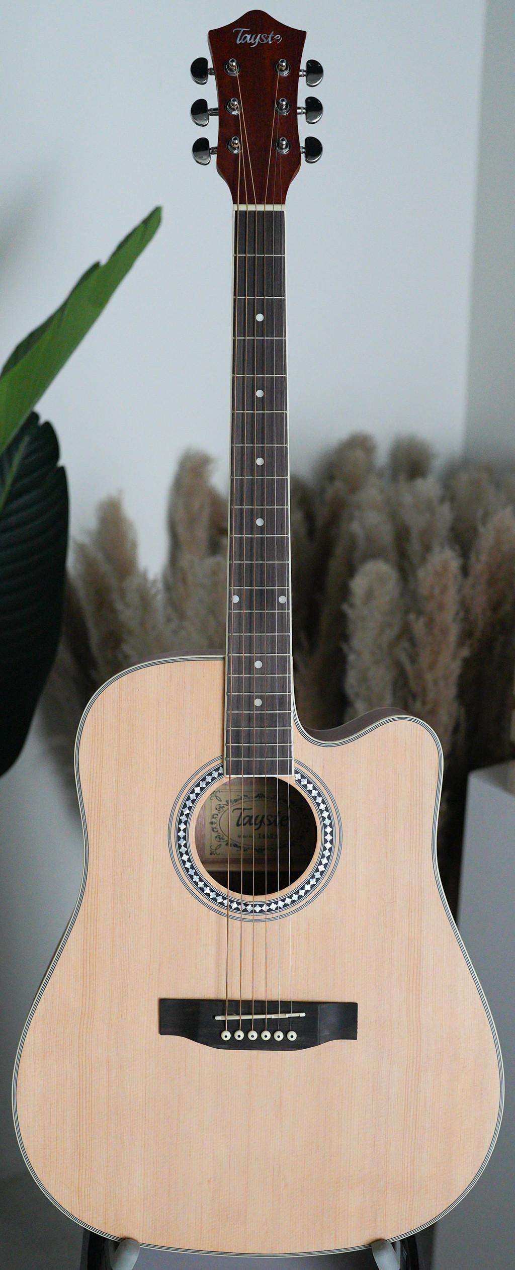 Guitars Acoustic Guitars Tayste SV Guitars