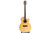 M.Tyler MTT-OM500C Acoustic Guitar