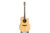 M.Tyler MTD-600C Acoustic Guitar w/Fishman SON GT1