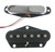 EB Tesla TE2 SET Tele Pickups