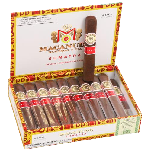 Macanudo Sumatra cigar with golden Ecuadorian wrapper in cedar packaging | SmōkHaus Cigars
