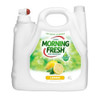 Morning Fresh 4ltrs