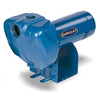  BERKELEY LTHH 1-1/2HP Series Sprinkler Pumps 