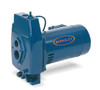 Sta-Rite Berkeley FL Series Convertible deep or shallow well pumps 1/2HP or 3/4HP 