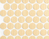  FastCap Maple, Clear 9/16" Woodgrain PVC PSA Cover Caps 52-260-1040pcs 