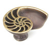  Schaub Symphony, Knob, Shell, Left, Polished Brass, Dark Bronze, 1-1/2" x 1-1/4" diameter 