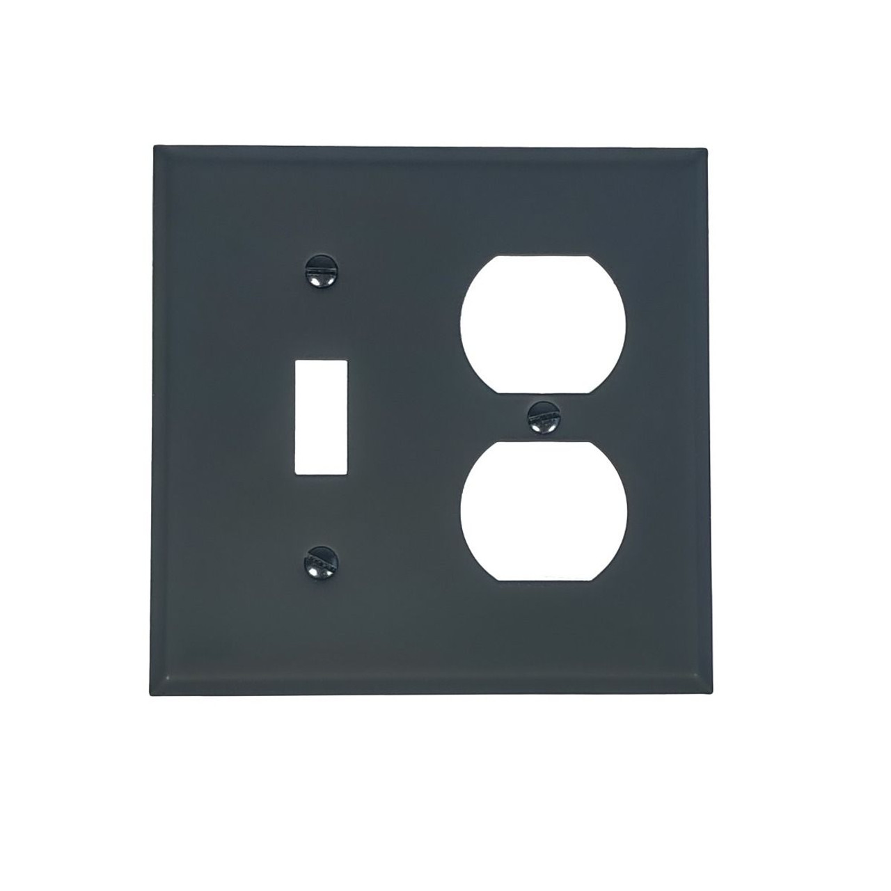 1 Toggle & Duplex Wall Plate AW6BP