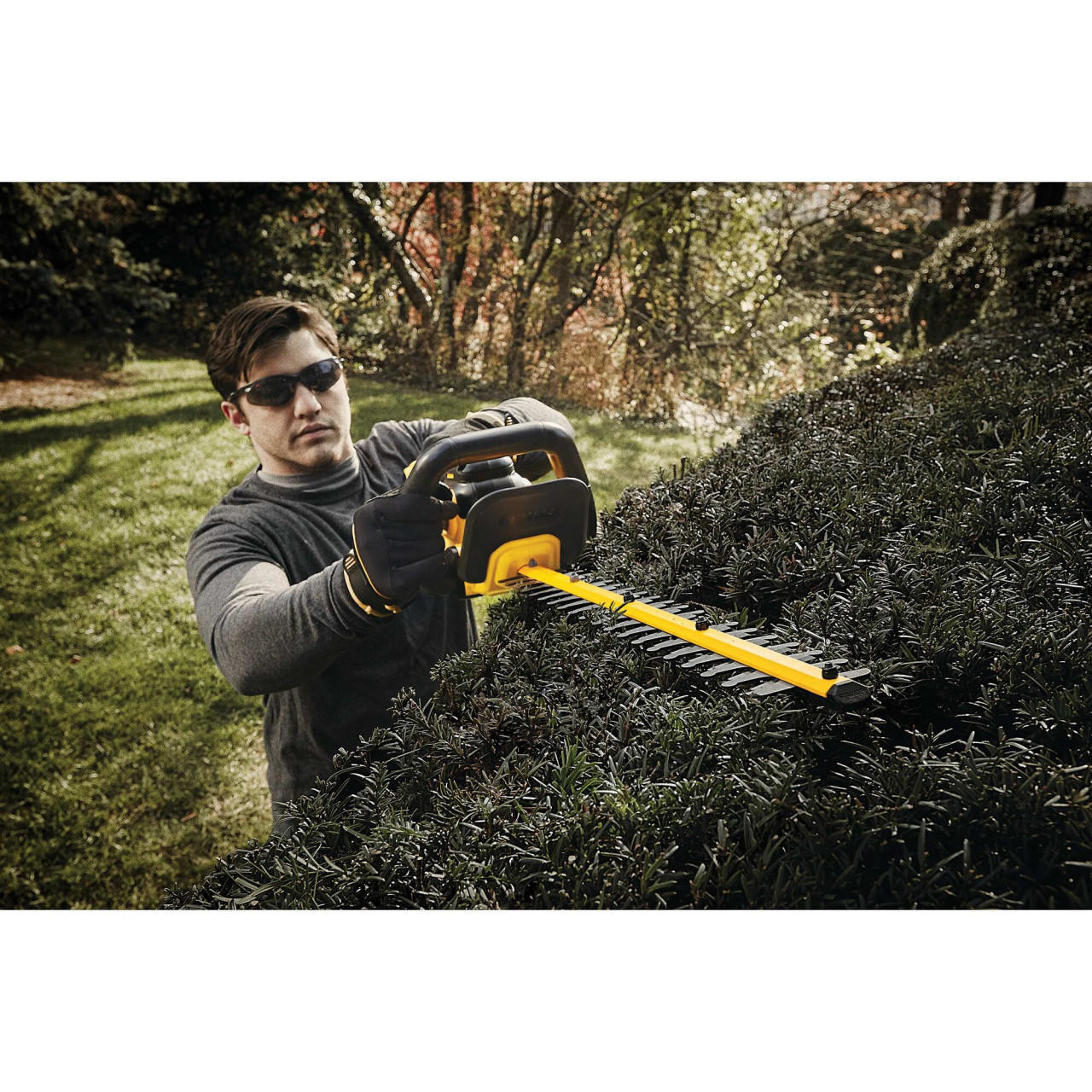 Dewalt DEWALT Hedge Trimmer DCHT820B 