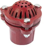  Aqualine Cast Iron Foot Valves 2" thru 4" 