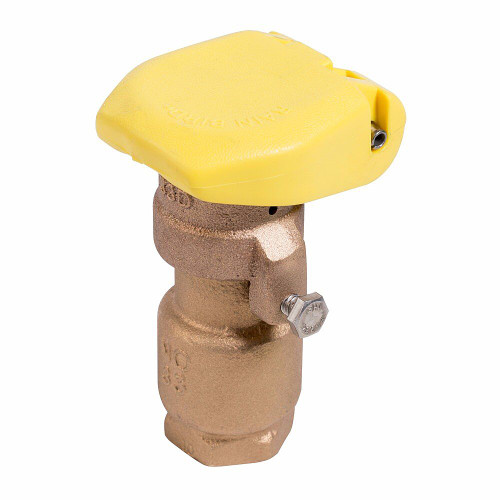 RainBird 33DRC - 3/4 in. Quick Coupling Valve 2-Piece Body