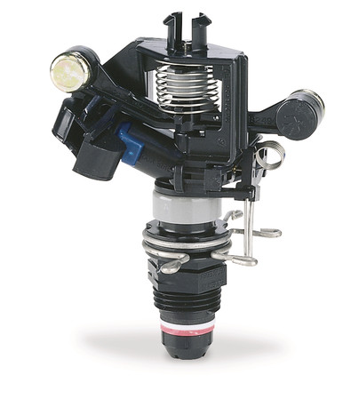 【2025春夏新色】 2045PJ08 RainBird - with Sprinkler Impact in 1/2 Maxi-Bird 洋楽