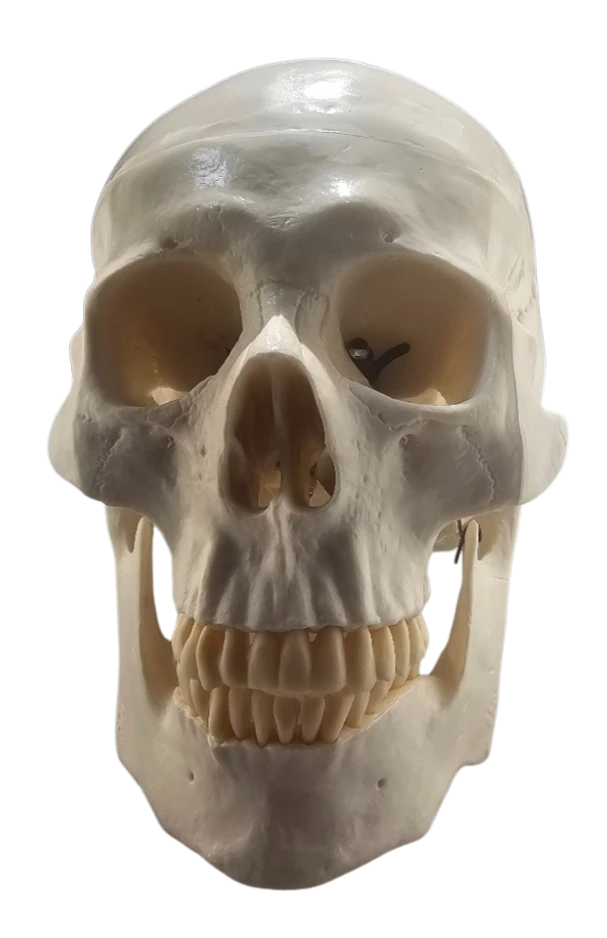 SKULL VGJUNK: SKULL (ZX SPECTRUM)