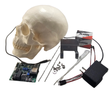 Scary Terry Talking Skull Kit with ST-450 board - Cowlacious Designs