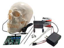 Scary Terry Talking Skull Kit with ST-425 board - Cowlacious Designs